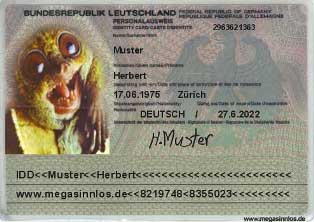 Fake Ausweis Fuhrerschein Personalausweis Id Karte Selber Machen Vorlagen4you